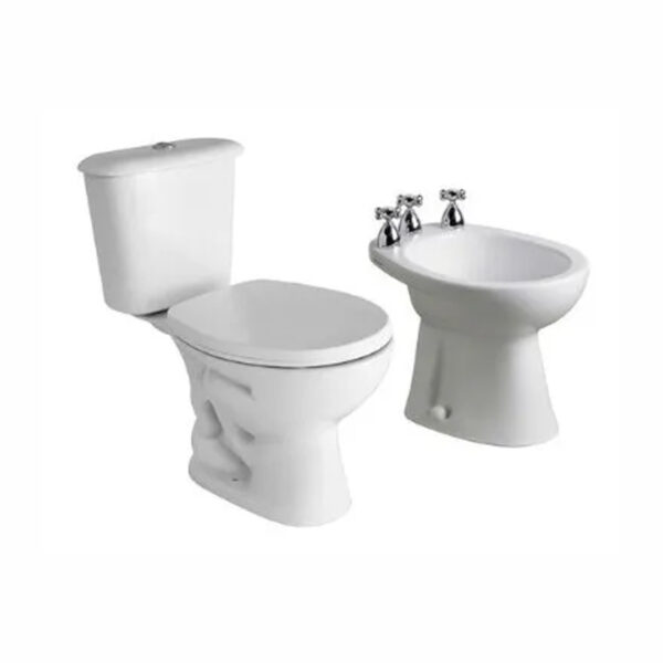 Inodoro Largo Depósito Mochila Apoyar Y Bidet Ferrum Andina