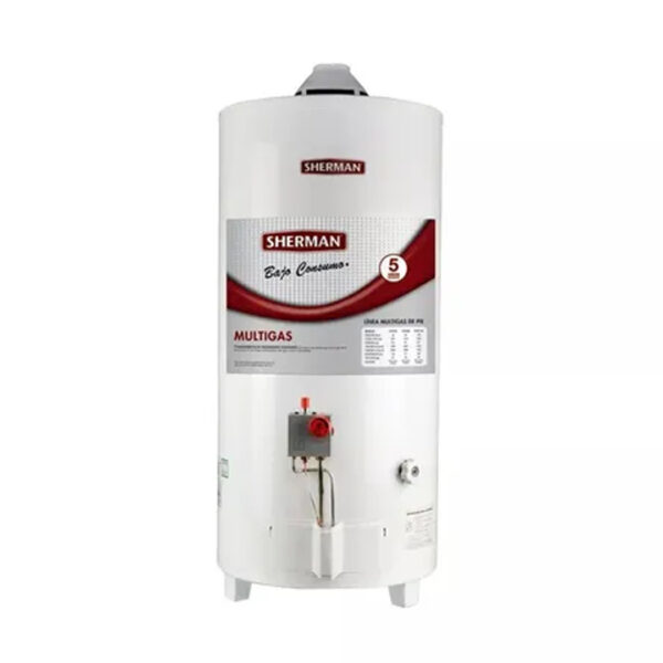 Termotanque Multigas Bajo Consumo Sherman Rheem 80 Lts