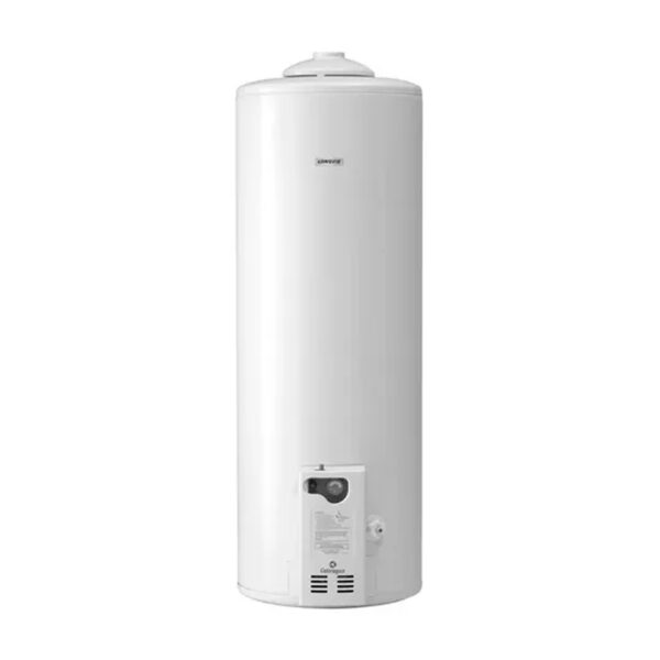 Termotanque Multigas Longvie T3110f Conexion Superior 110 - Imagen 2