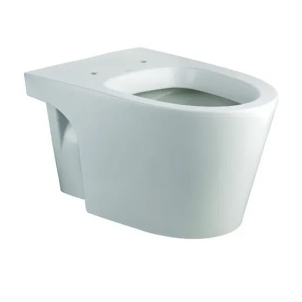 Inodoro Marina De Colgar Ferrum  Ihpj Blanco + Soporte - Imagen 2