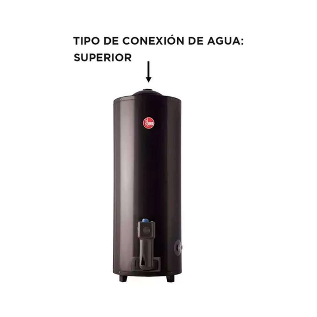 Termotanque A Gas Natural Rheem Aee Tgnp120rh Gris 120l Color Gris oscuro - Imagen 2