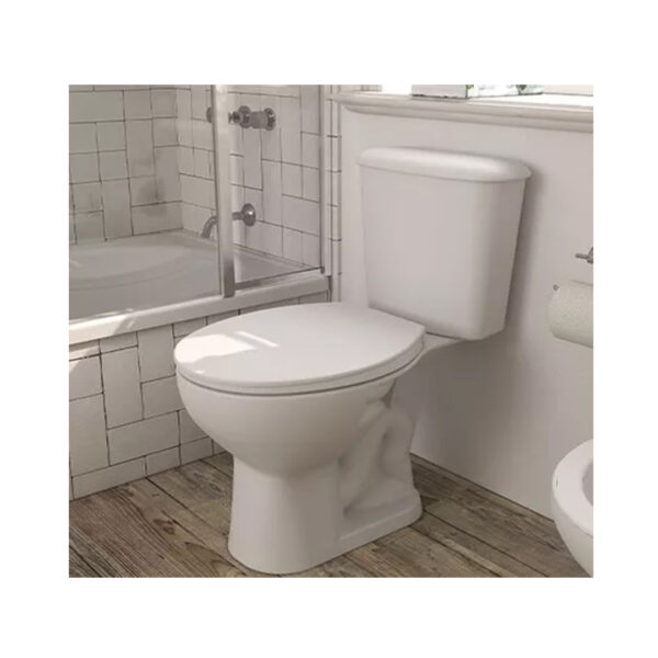 Inodoro Ferrum Largo Sanitario Baño Loza Blanco Andina - Imagen 5