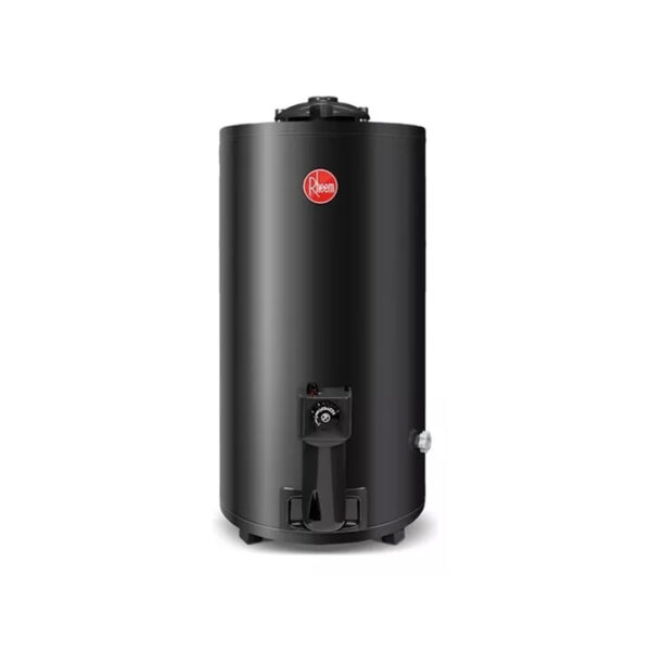 Termotanque A Gas Natural Rheem Aee Tgnp080rh Gris 80l - Mm Color Gris oscuro