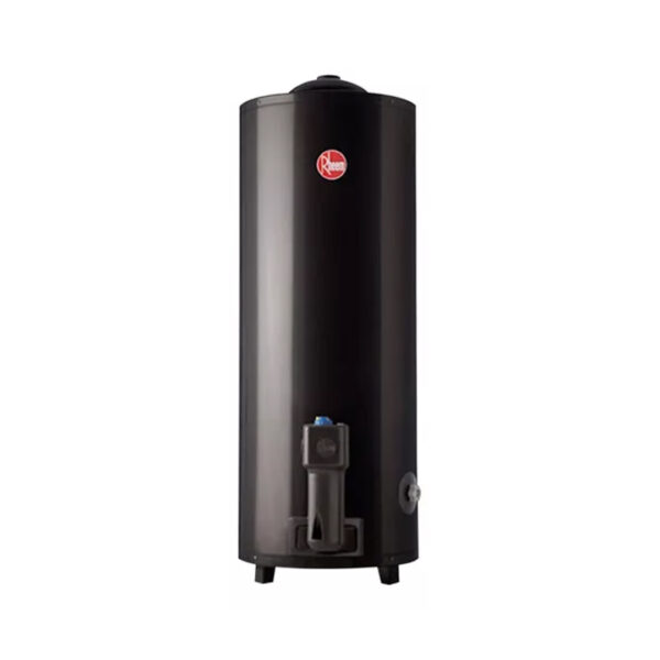 Termotanque A Gas Natural Rheem Aee Tgnp080rh Gris 80l - Mm Color Gris oscuro - Imagen 2