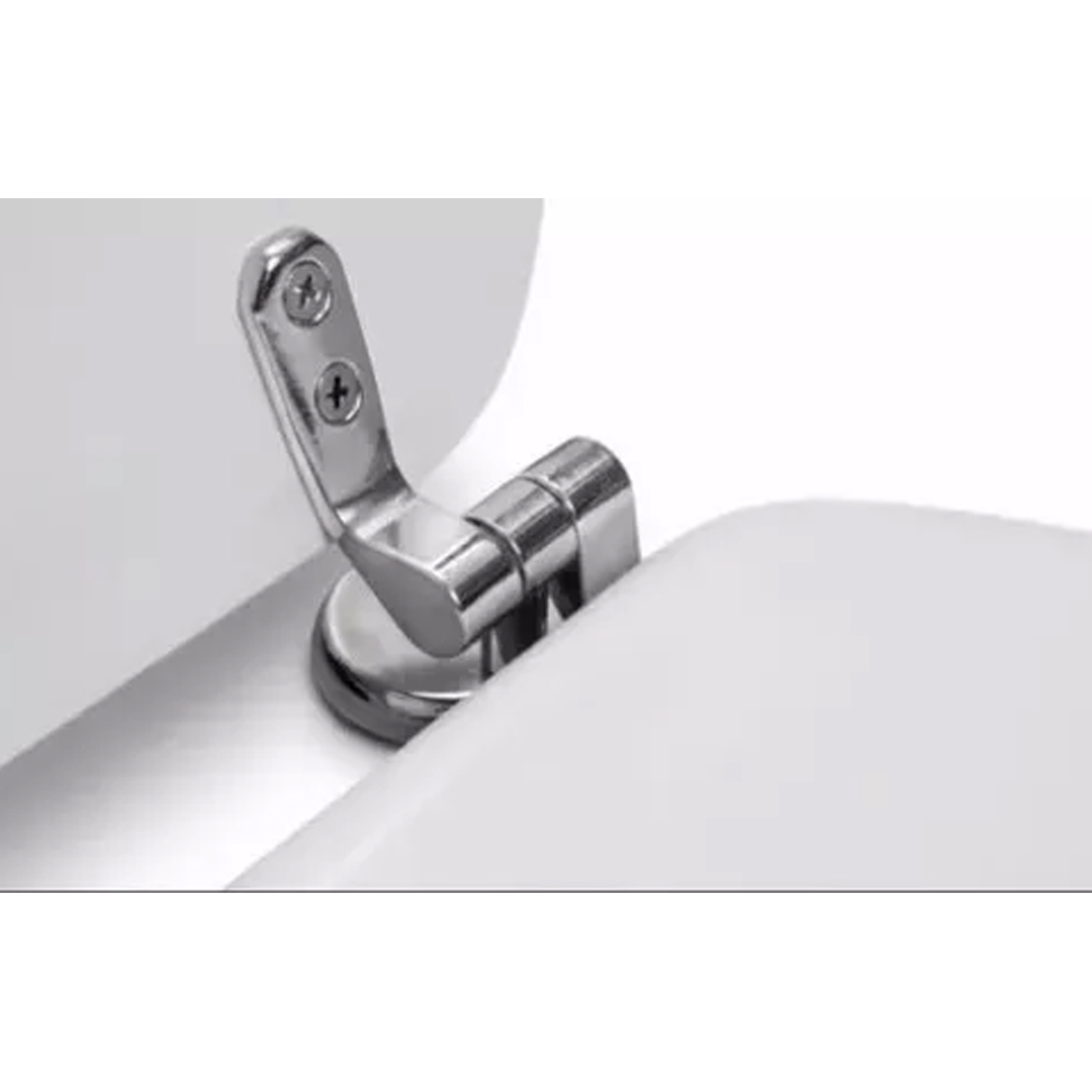 Roca Victoria Inodoro + Bidet Suspendido Cañoplast