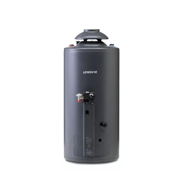 Termotanque Longvie Potenciado Dual 56 Litros Tp860ar-n Color Grafito