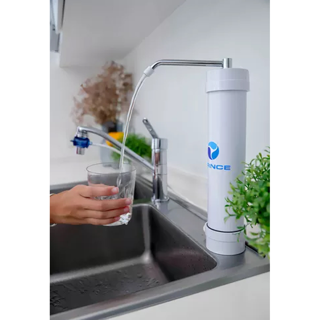 Repuesto Para Filtro Purificador De Agua Prince Blanco - Imagen 4