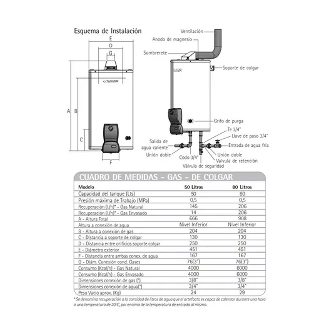 Termotanque Multi Gas De Colgar 50 Litros Saiar Rheem Tcg050 Color Blanco - Imagen 3