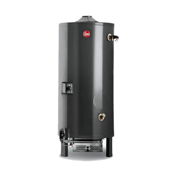Termotanque Rheem Comercial RHCTP300L negro 300L